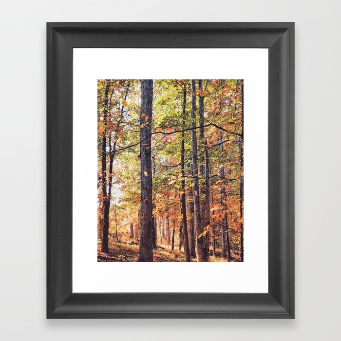 Autumn Forest Landscape X Rustic Decor Framed Art Print