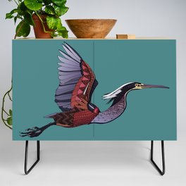 Agami heron teal Credenza