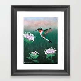 Pollinators: Hummingbird & Bergamot Framed Art Print