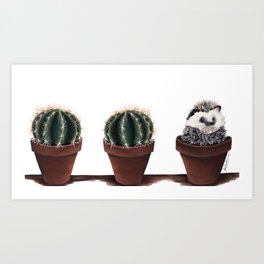 cactus, cactus, hedgehog Art Print