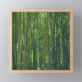 Japanese bamboo forest Framed Mini Art Print