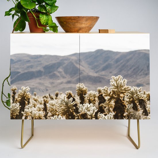Cholla Cactus Garden Credenza By Aliciamagnuson Society6
