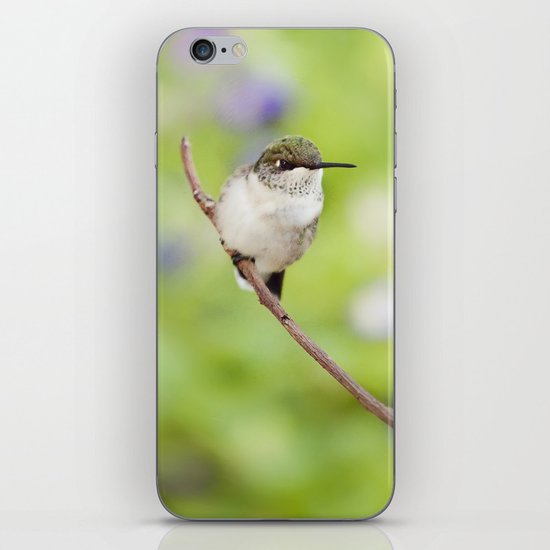 Lavender Dream iPhone & iPod Skin