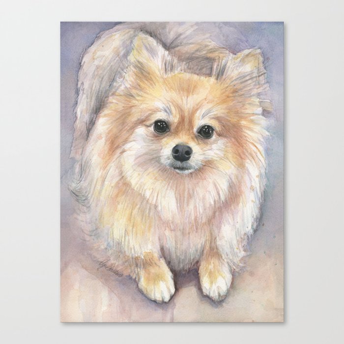 Pomeranian Watercolor Pom Puppy Dog Painting Canvas Print