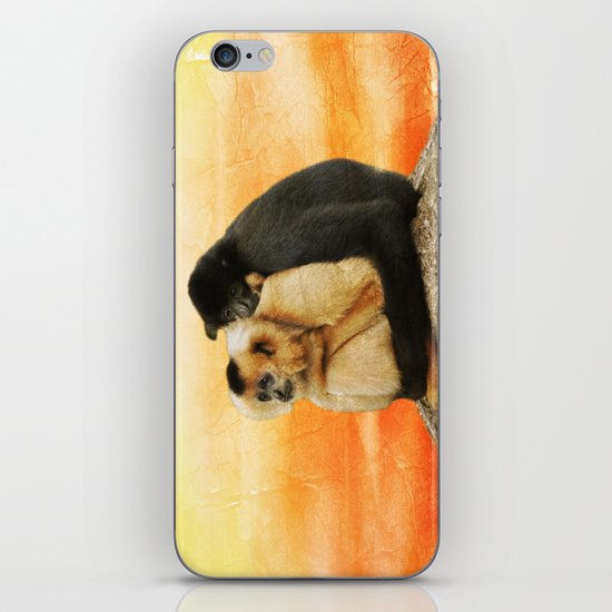 Friends iPhone & iPod Skin