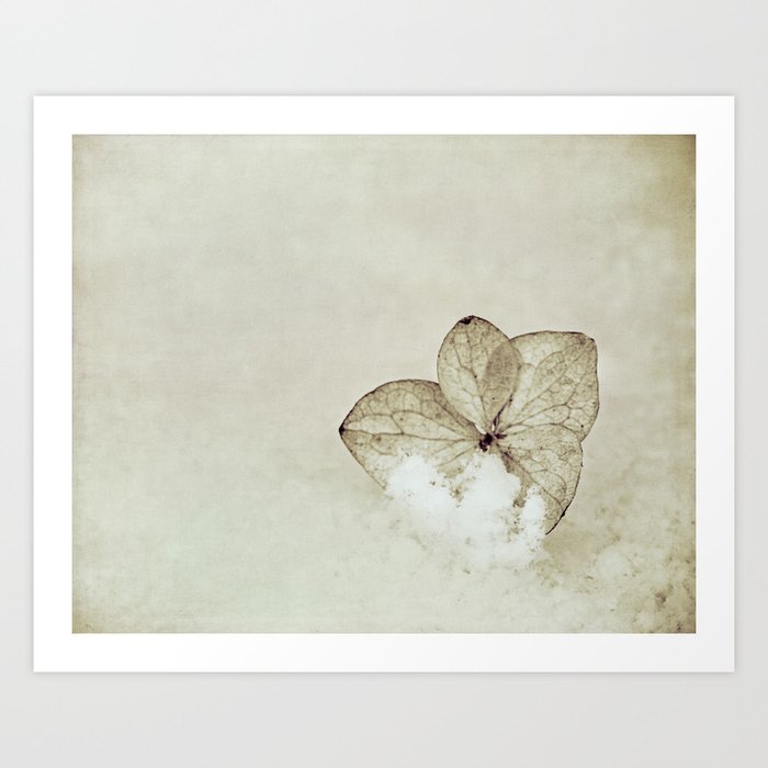 in the cold Art Print
