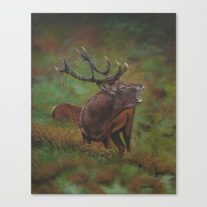 Deer in Forest Canvas Print