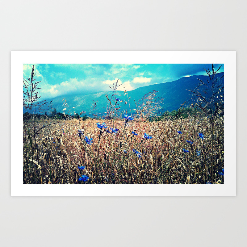 Catcher In The Rye Field Landscape Photo Art Print By Elizadonovan