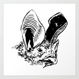Forgetful Bat (Miriam) Art Print