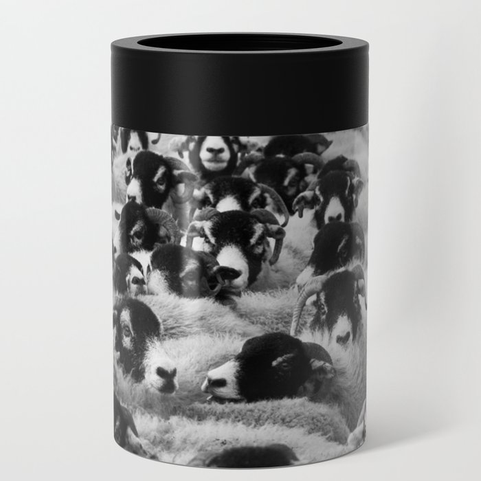 Funny Flock Of Sheep Black And White Pic  Can Cooler