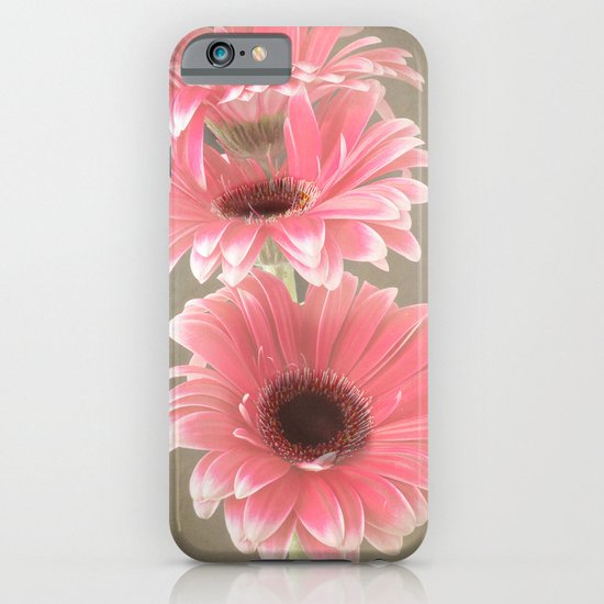 Three Pink Gerberas iPhone & iPod Case