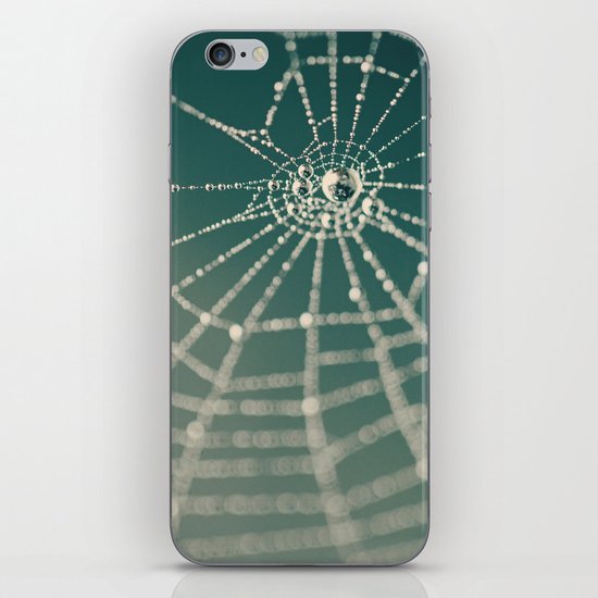 Spiderweb iPhone & iPod Skin