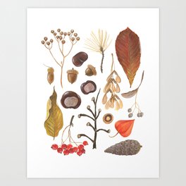 Autumn treasure chest Art Print