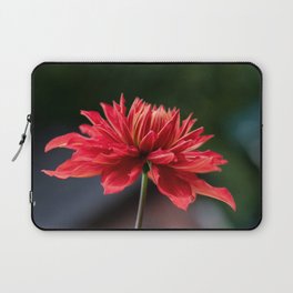 Majestic Red Dahlia Cooper Blaine Laptop Sleeve