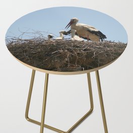 Stork and Storklets On The Nest Photograph Side Table