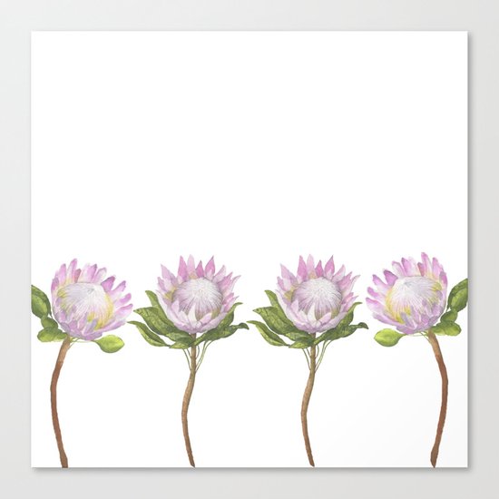 Beautiful Lotus Canvas Print