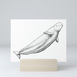 Beluga Mini Art Print