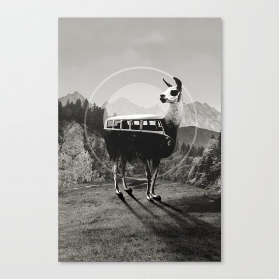 Llama B&W Canvas Print