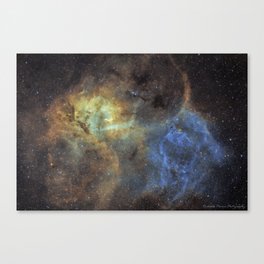 lion nebula Canvas Print