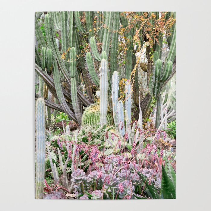 Cactus Garden #1 - Nature Photography Poster
