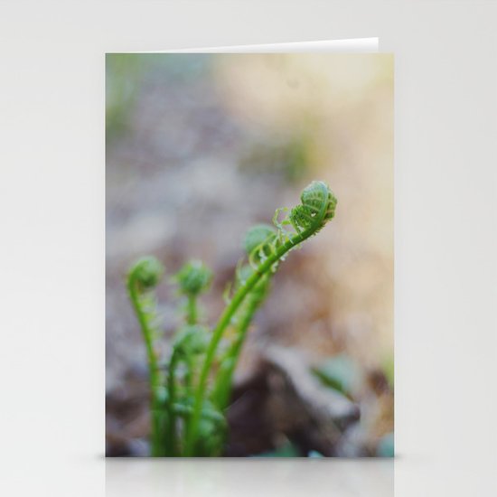 Fiddleheads Stationery Cards