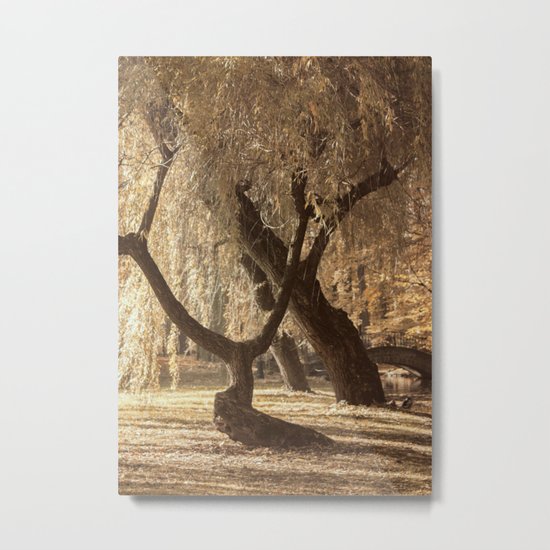 Golden branches Metal Print