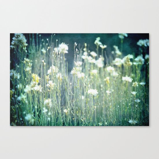 Summer Dreams Canvas Print