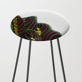 Red Maranta Counter Stool