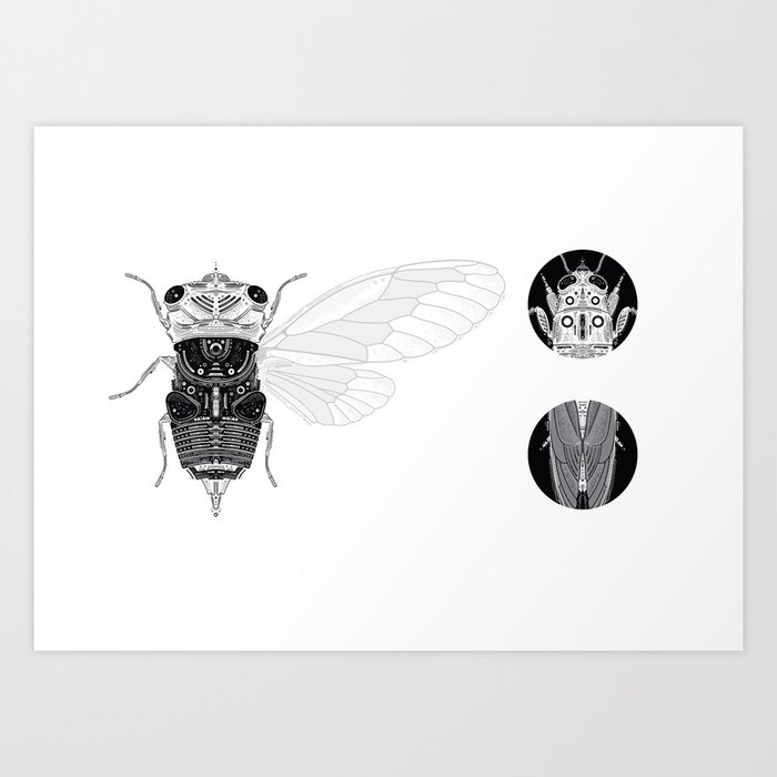 cicada (i) Art Print
