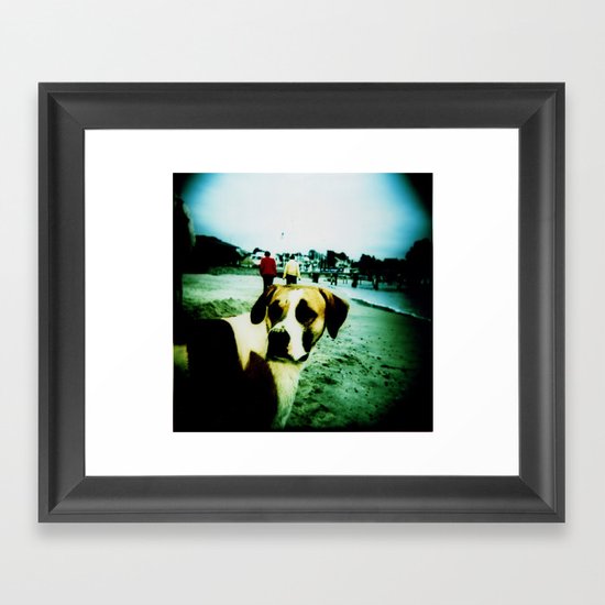 Dog Framed Art Print