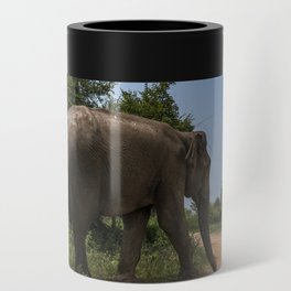 Sri Lanka elephant Can Cooler