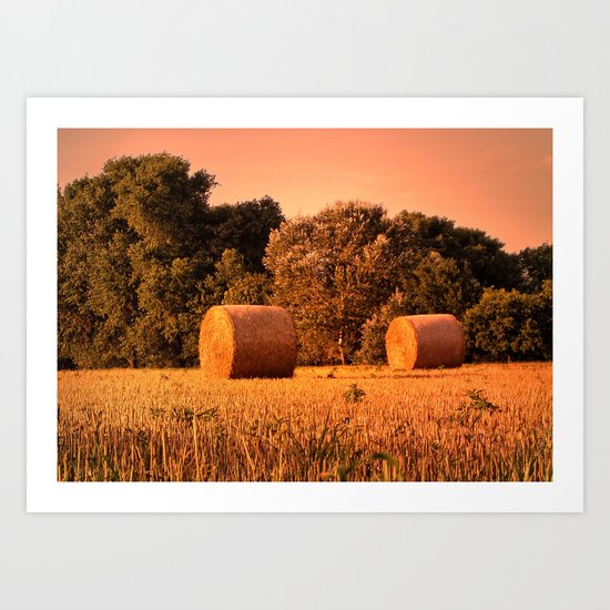 the harvest Art Print