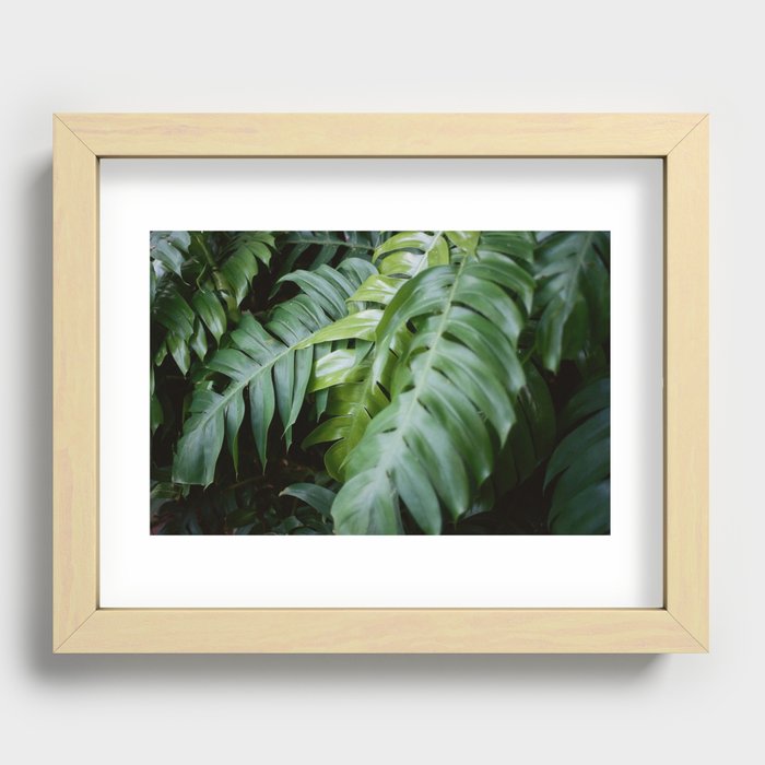 Jungle leaves Recessed Framed Print