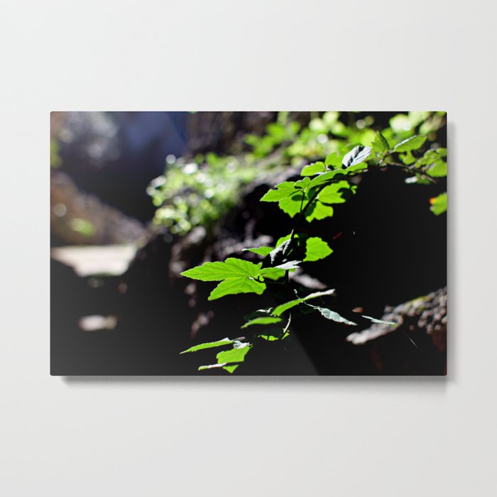 And all the magic that surrounds us Metal Print