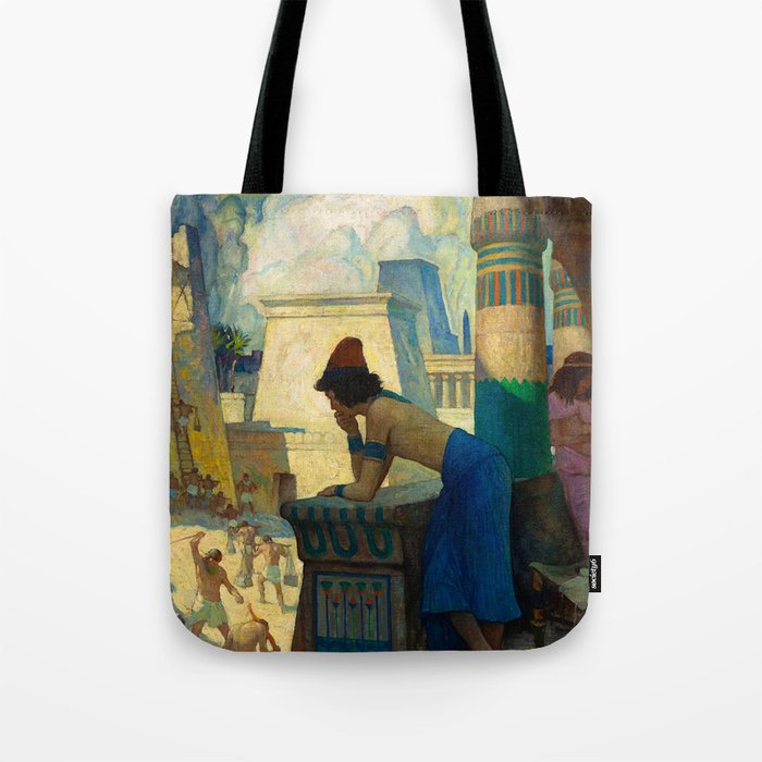 The Boy, Moses, 1928 by Newell Convers Wyeth Tote Bag