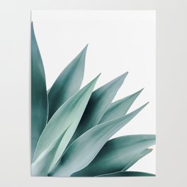 Agave flare II Poster
