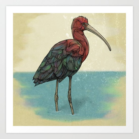 Ibis Art Print