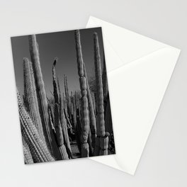 cacti Stationery Card