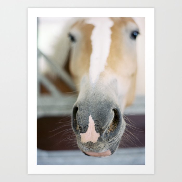 Day at the Stables Art Print