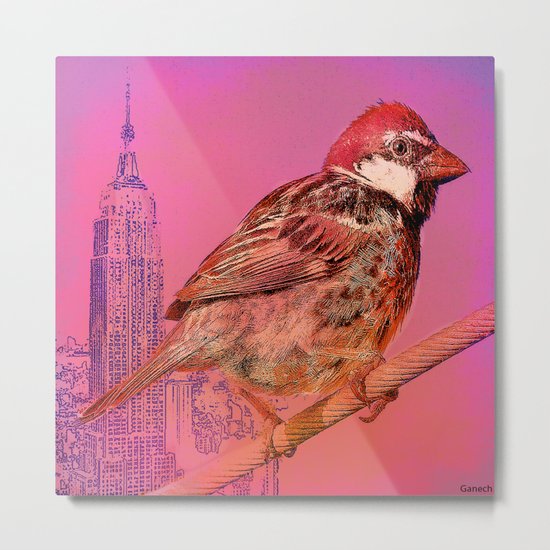 The New York sparrow Metal Print