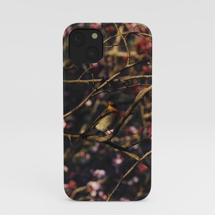 Robin in Cherry Tree iPhone Case