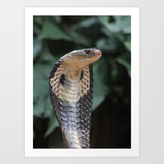 I am not slimey Art Print