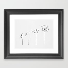 Poppy Flowering Phases Framed Art Print