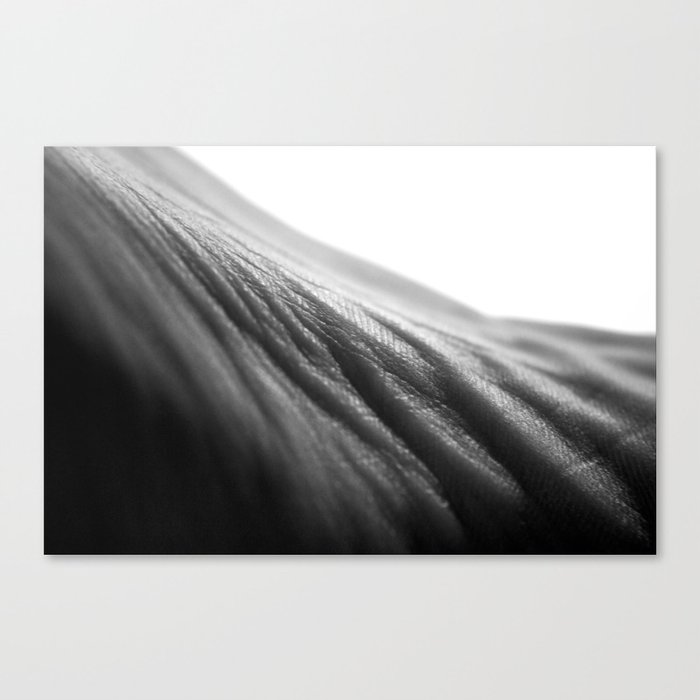 Fabric of the Foot Canvas Print