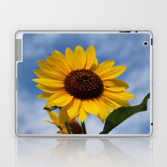 Sunflower Laptop & iPad Skin