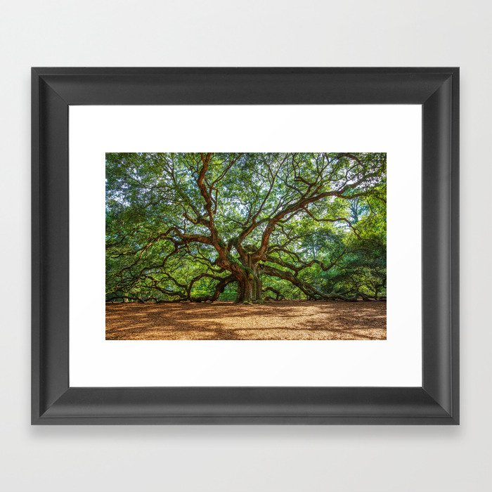 Angel Oak - Ancient Tree on Johns Island South Carolina Framed Art Print