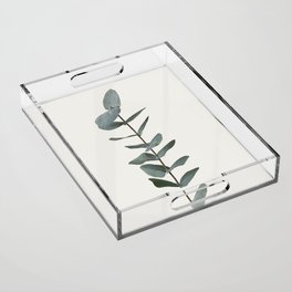 Simple Eucalyptus Acrylic Tray