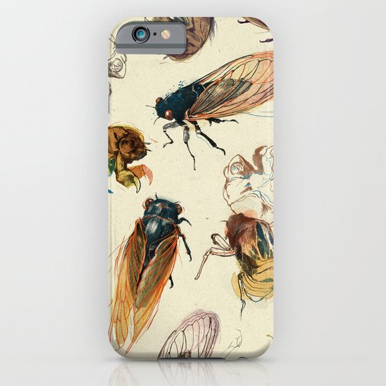 summer cicadas iPhone & iPod Case