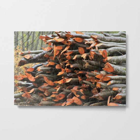 Fresh Wood Metal Print