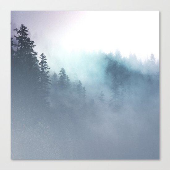 Faded Echos Canvas Print